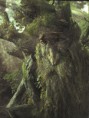 /album/fotogaleria%3a%20w%c5%82adca%20pierscieni/tree-beard-jpg/
